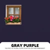 GRIS VIOLET