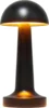 Brown LED Table Lamp