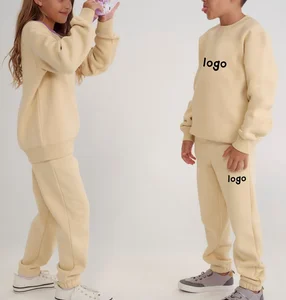 Wholesale High Quality 2 Piece Hoodie Set for Kids Wholesale Custom logo Sweat Suit Sets Jogger Tracksuit Set