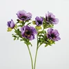 Pourpre