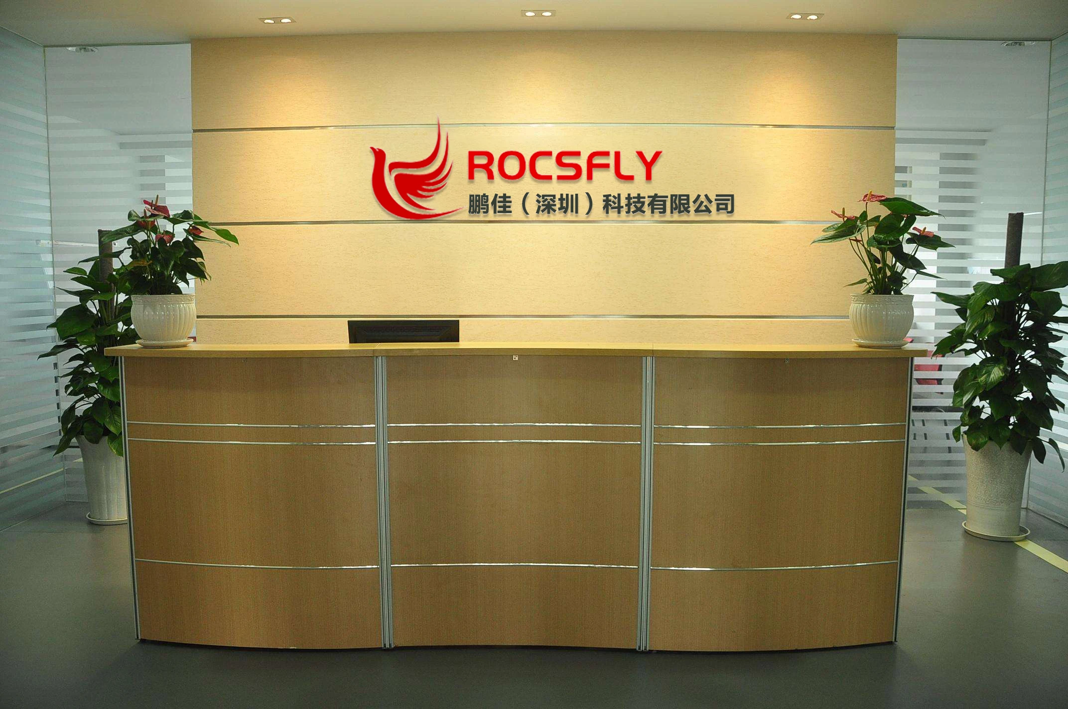 Pengjia (shenzhen) Technology Co., Ltd. 1