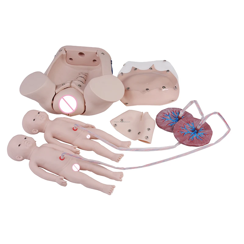 Advanced Childbirth Simulator with fetus placenta for obstetrics Training  Manikin