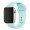 classic style-light green