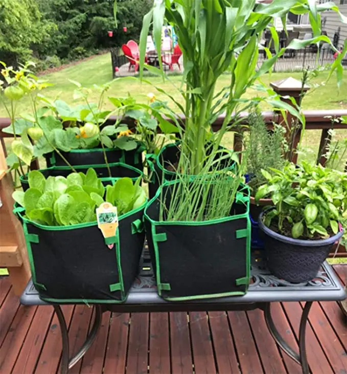 I vasi del quadrato del tessuto del giardino fioriscono per coltivare la borsa non tessuta coltivano le borse con le maniglie 3