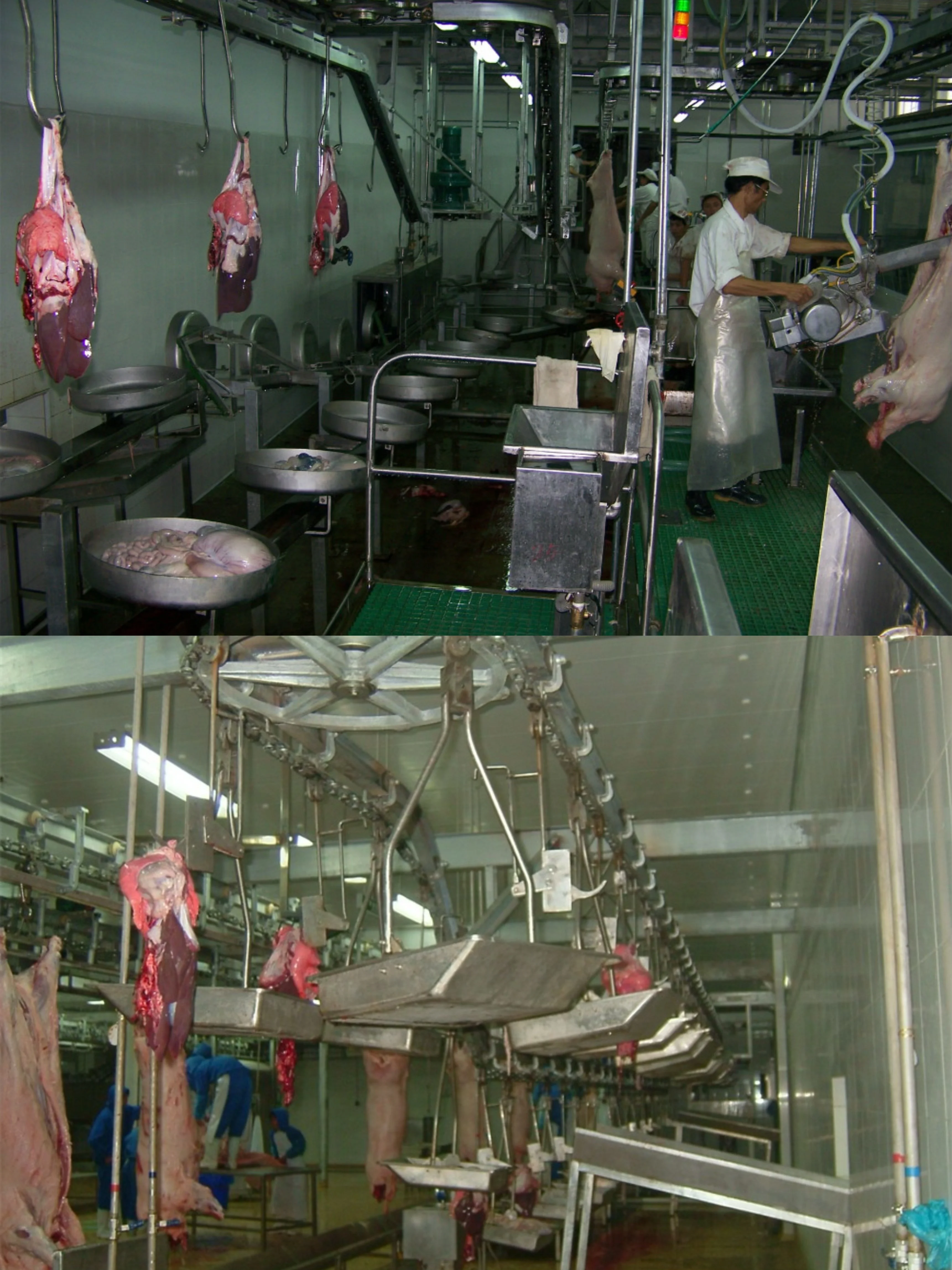 Automatic complete pork slaughtering line equipment for modern pork processing plant