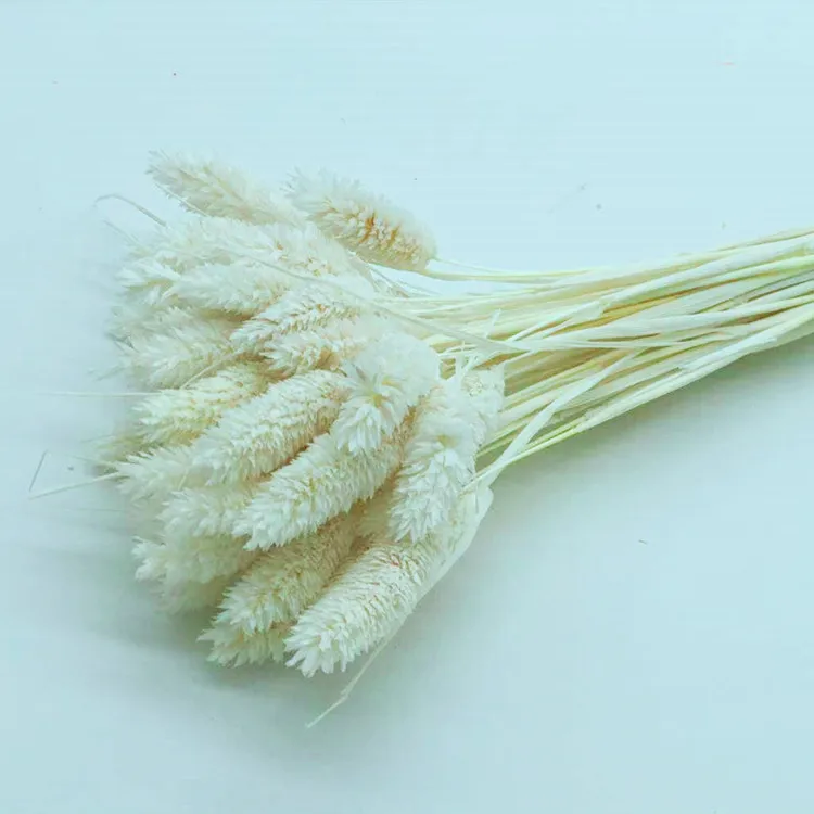 
Оптовая продажа, лидер продаж 2020, настоящие консервированные цветы Eheap, искусственные цветы и сушеные цветы, трава из драгоценных камней для украшения 