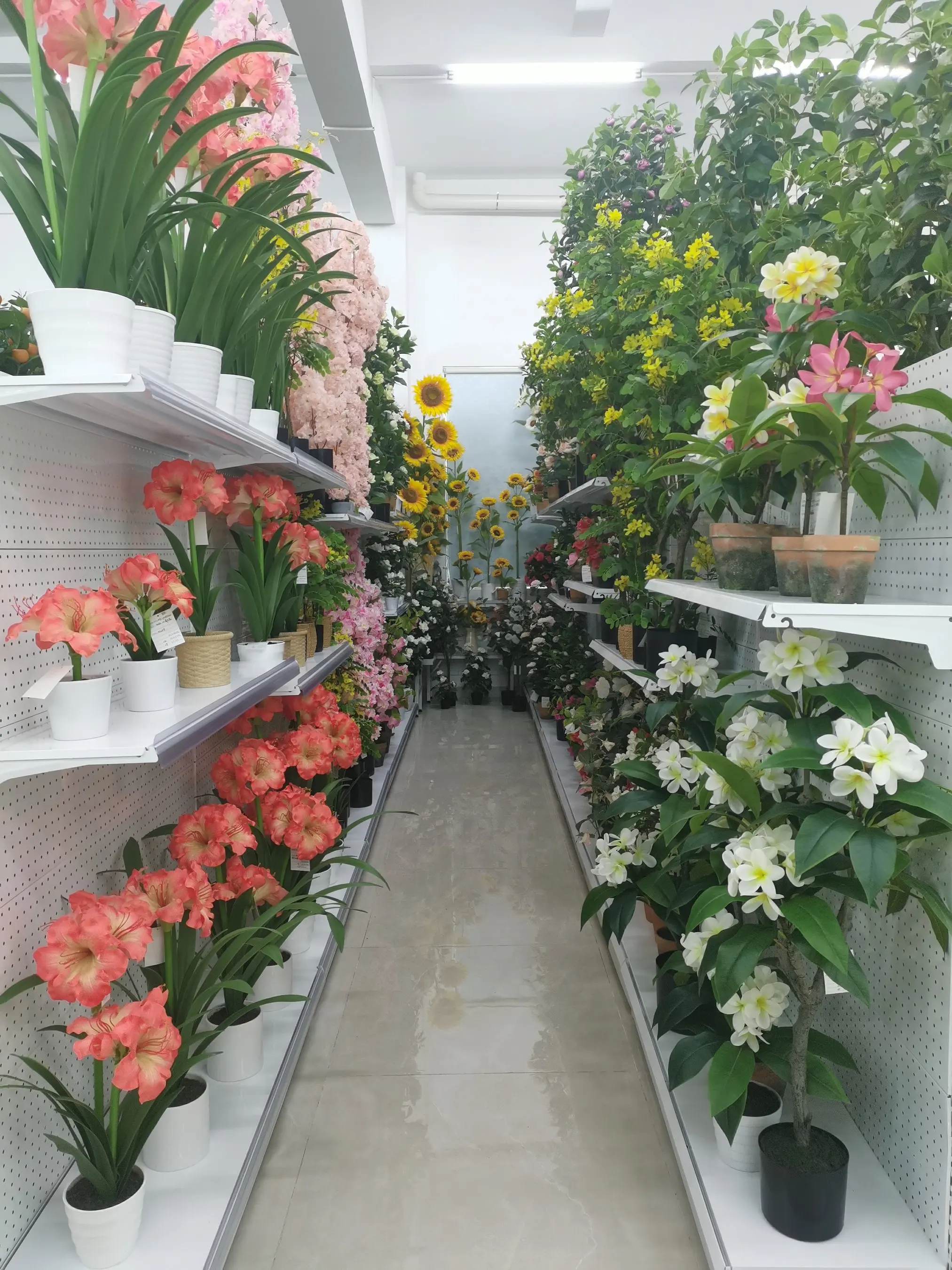 Wholesale Real Touch Artificial Onion Grass Artificial Plant Simulation