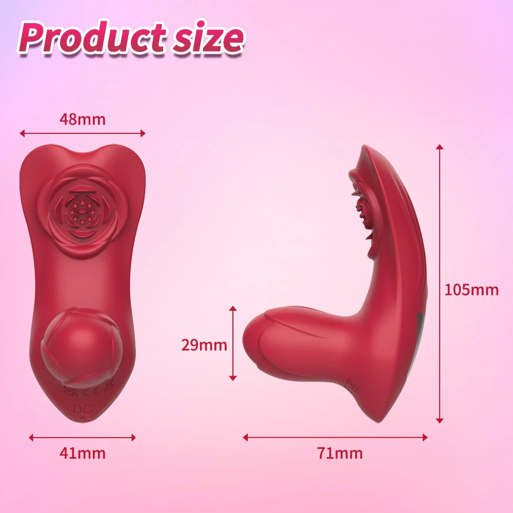 Remote Control Adult Sex Toys Wearable Panty Vibrator 10 Dual Vibration  Clitoral Stimulator Sex Toy for Women Sexual Pleasure
