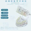 Pathological repair with dental nerve