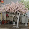 Cherry Tree
