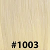 #1003