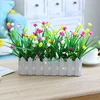 30 Baby's Breath, Milan Flower, Yellow, White, Red