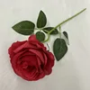 Single brushed rose