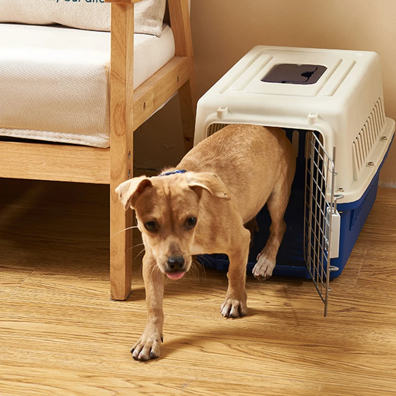 Airline Approved Pet Travel Carriers Sustainable Comfortable