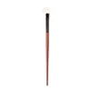Fan Brush