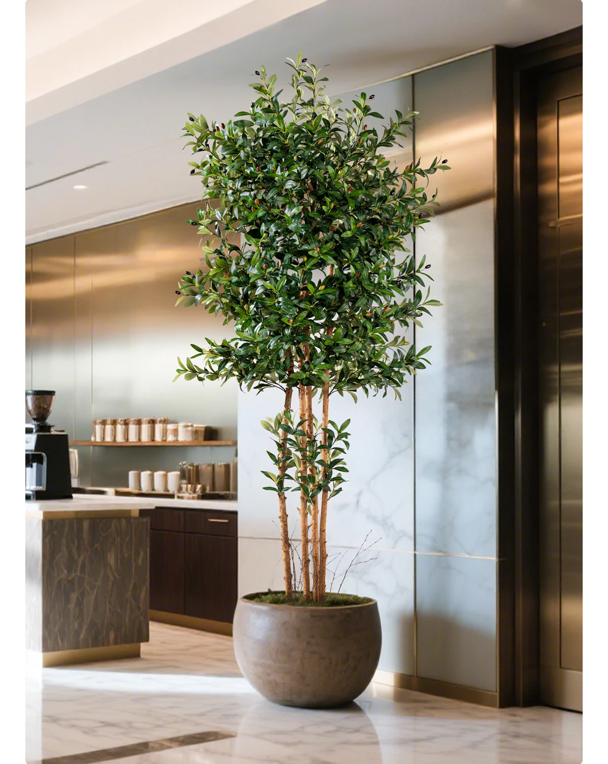 product nearly natural real touch artificial olive potted tree branch real trunk olive trees plants for hotel restaurant decoration-14