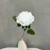 Bianco puro