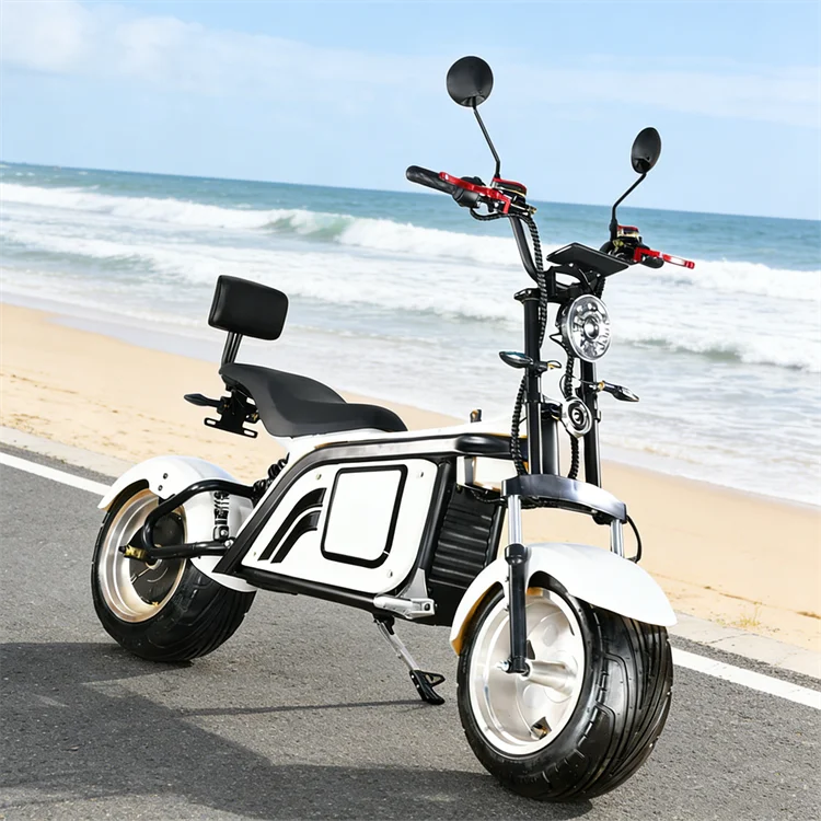 Electric Motorcycle Japan Electric Motorcycle with EEC E Scooter