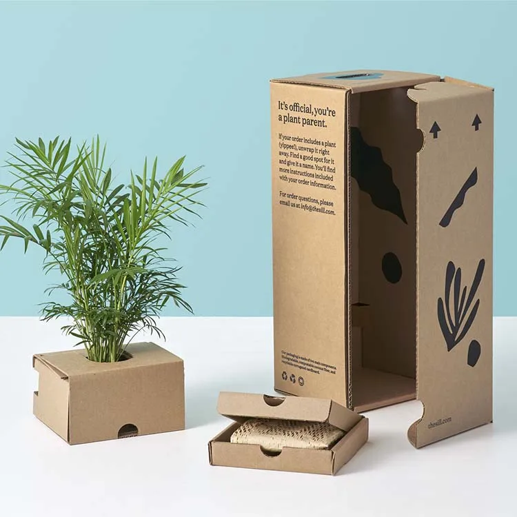 FPG Custom Succulent Packaging Live Cardboard Plants Shipping Box