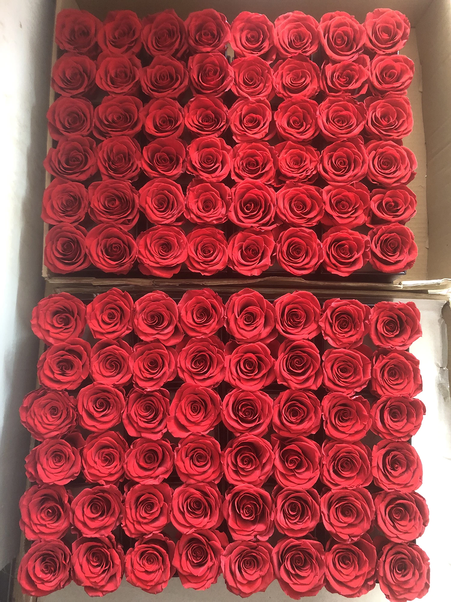 San Valentin Mother Day Led Red Immortal Eternal Flowers Acrylic Jewelry Box Preserved Roses