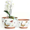 Jardin Butterfly