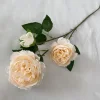 Champagne leggero