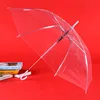 Transparent White Umbrella