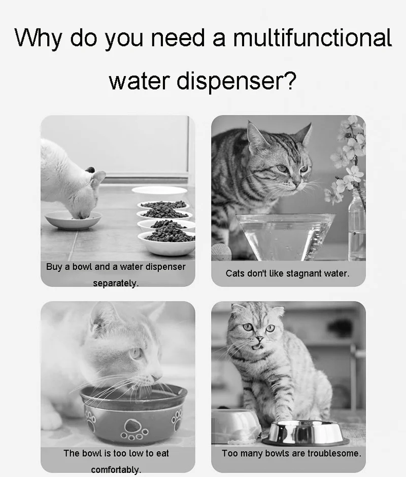 2 In 1 Automatic Pet Cat Water Dispenser Pet Bowls & Feeders Buy