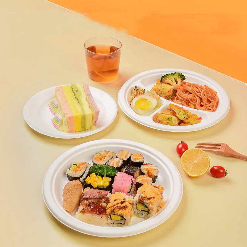 ZX Packing Biodegradable Packing - Sugarcane Bagasse Plates