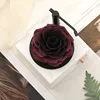 Salsa de ciruela negra bicolor