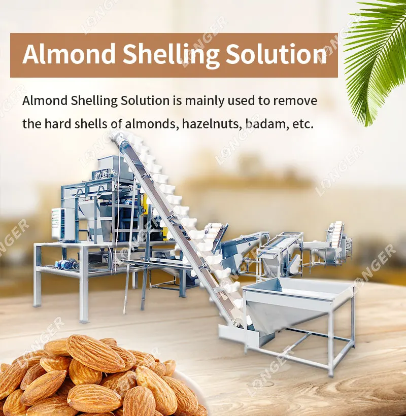 Macadamia Nut Shelling Machine/macadamia Nut Cracker Machine Buy