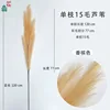 Single 15-cent reed, champagne color
