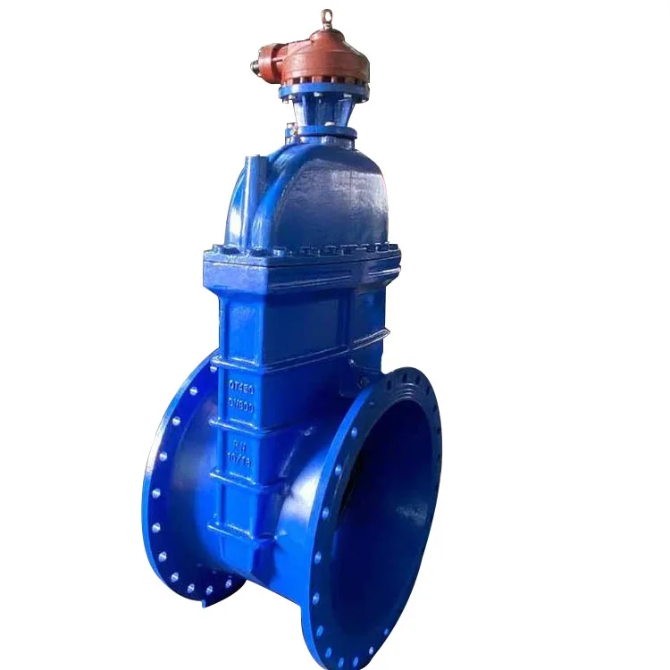 Cast Iron Flanged Gate Antipollution Check Valves Underground Water For ...