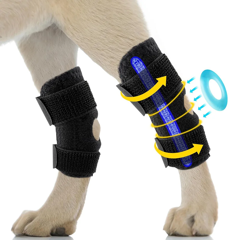 Neoprene Adjustable Injury Canine Cruciate Ligament Joint Knee Support