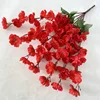 สีแดง