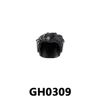 GH0309