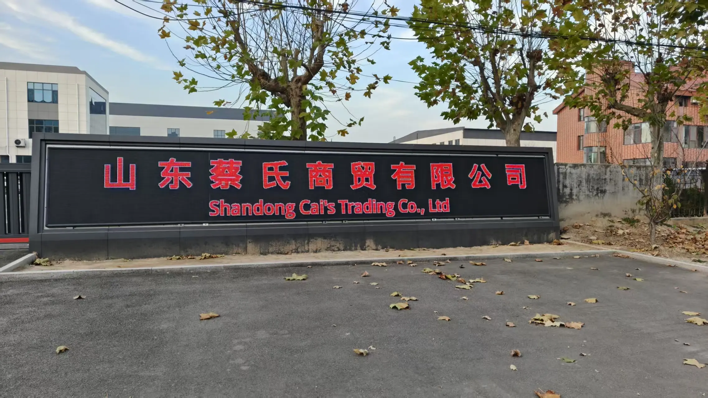 Shandong Caishi Trading Co., Ltd. 1