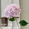 #3 flores de hortensia Bella