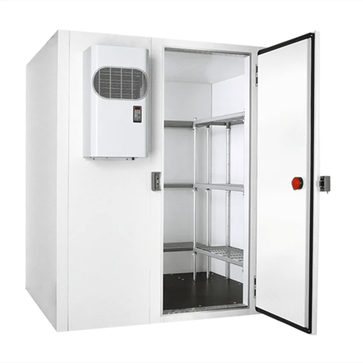 Walkin refrigerator cooler combo. Промышленный холодильник. Холодильная камера. Камера хранения охлаждаемая. Холодильная камера для мяса.