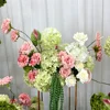 สีเขียวและสีชมพู