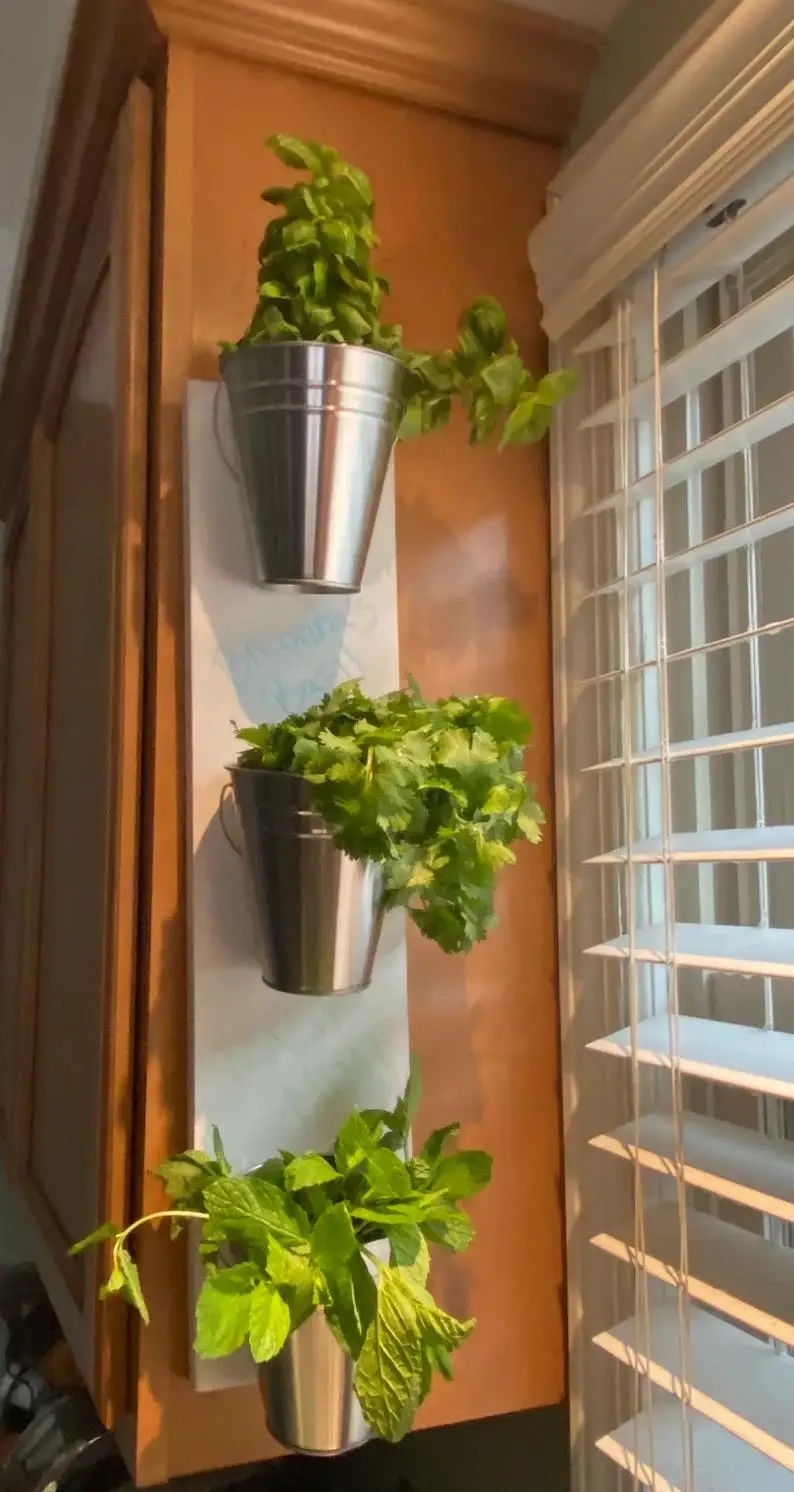 Hanging Nursery Pot Planter Balcony Iron Removable Metal Garden Round