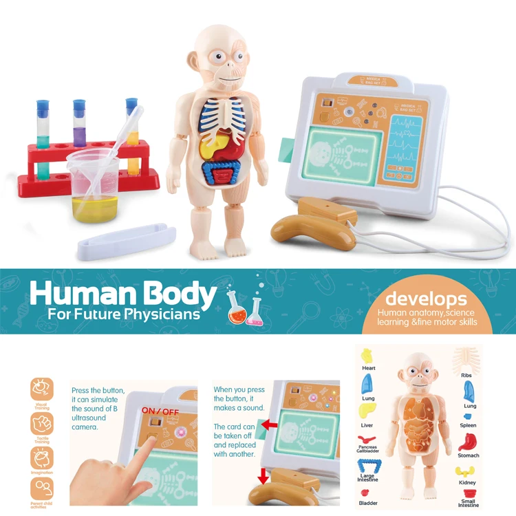Labs Educational Human Body Science Kit Children Assembly Games 3D Model Doctor Toys Set