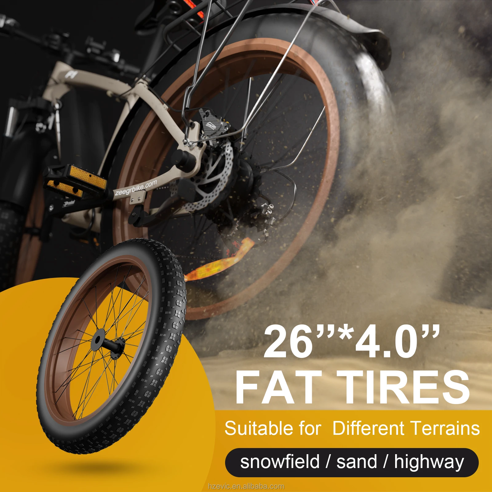 Bicicletta elettrica cinese a pedalata assistita 50 Km/H motore