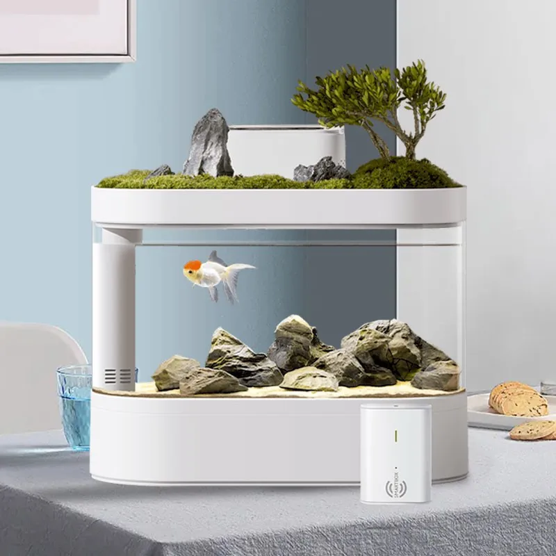 Desktop Aquarium with LED Lighting Automatic Fish Feeder Wholesale