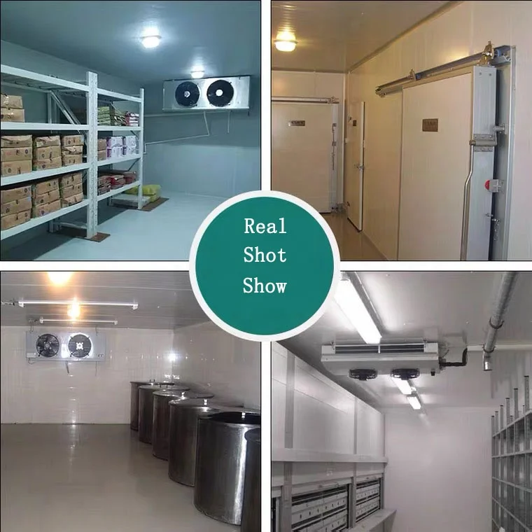 Mini Cold Storage Plant Cost in India