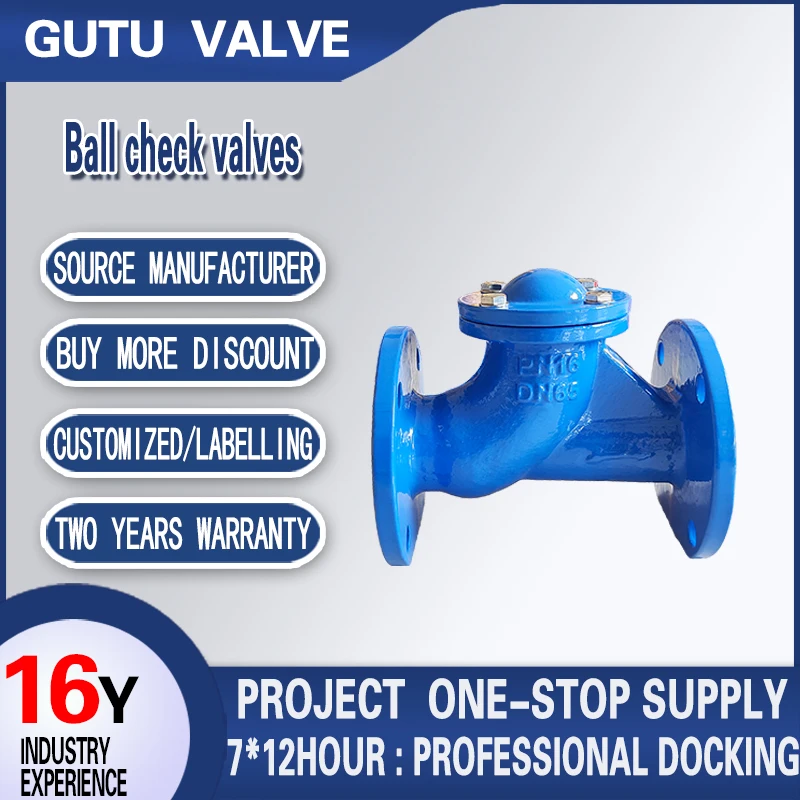 High Quality Ball Check Valves Standard Ductile Iron Blue Flangeless