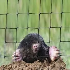 Quality Protection Extruded Mesh Anti Mole Netting Black Plastic Net Anti Mole