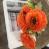 Naranja