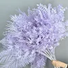 สีม่วงอ่อน