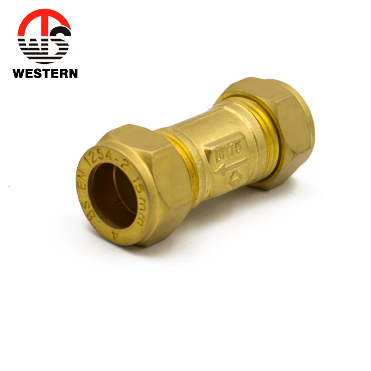 Small One-Way Check Valve Brass Spring Double for Air Compressor Manual Power British Standard Compression End for Water Media